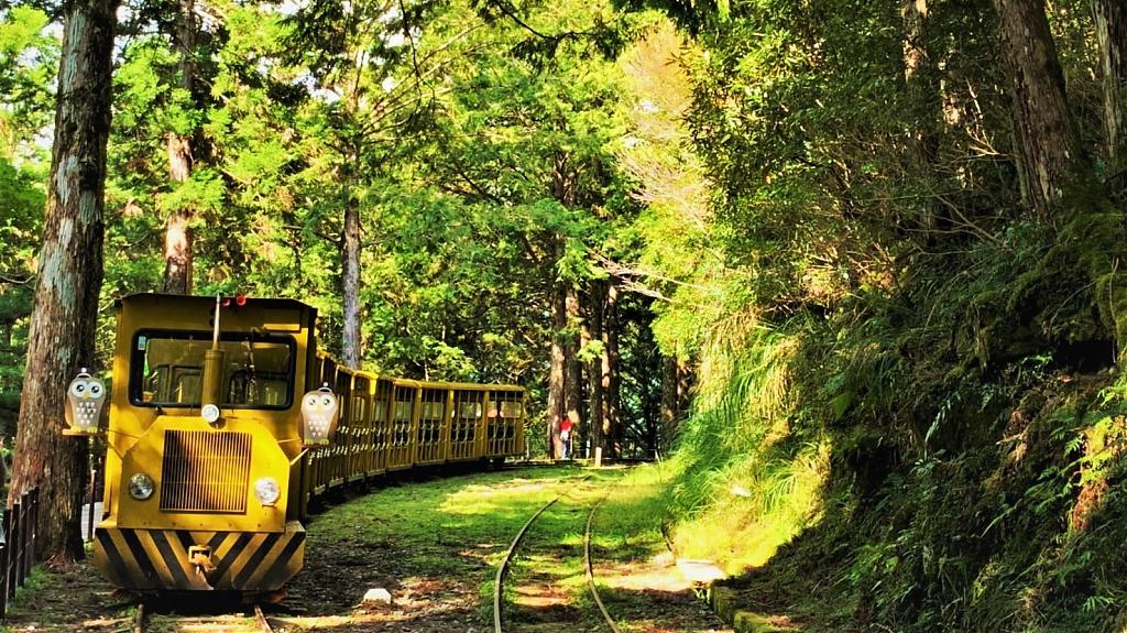 宜蘭太平山森林二日套裝行程｜必遊見晴懷步道＆蹦蹦車